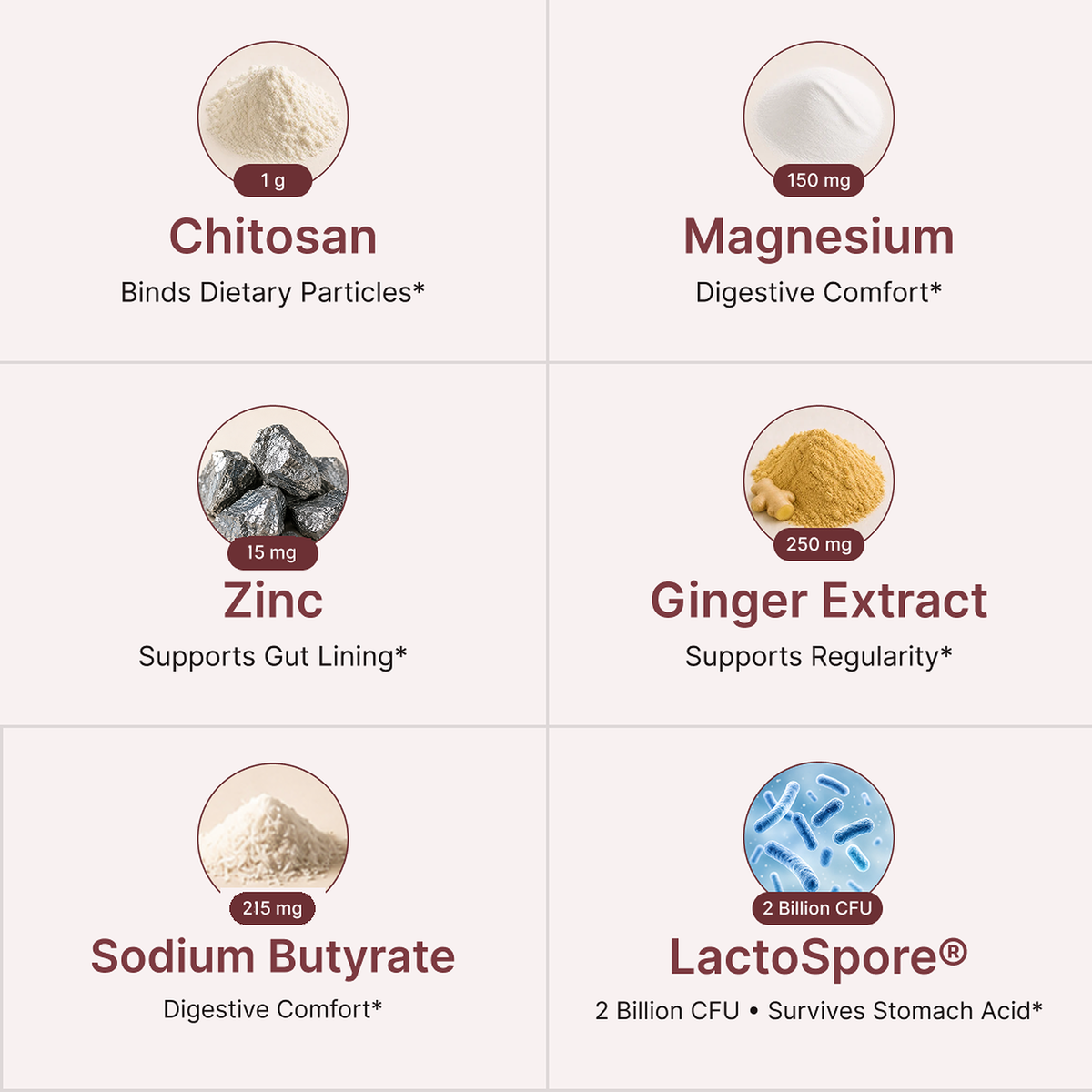 Six-tile ingredient grid showing chitosan, magnesium, zinc, ginger extract, sodium butyrate and LactoSpore, each with its dose and a one-line role